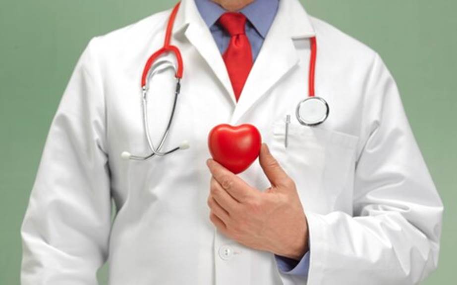A doctor holding a heart  Description automatically generated