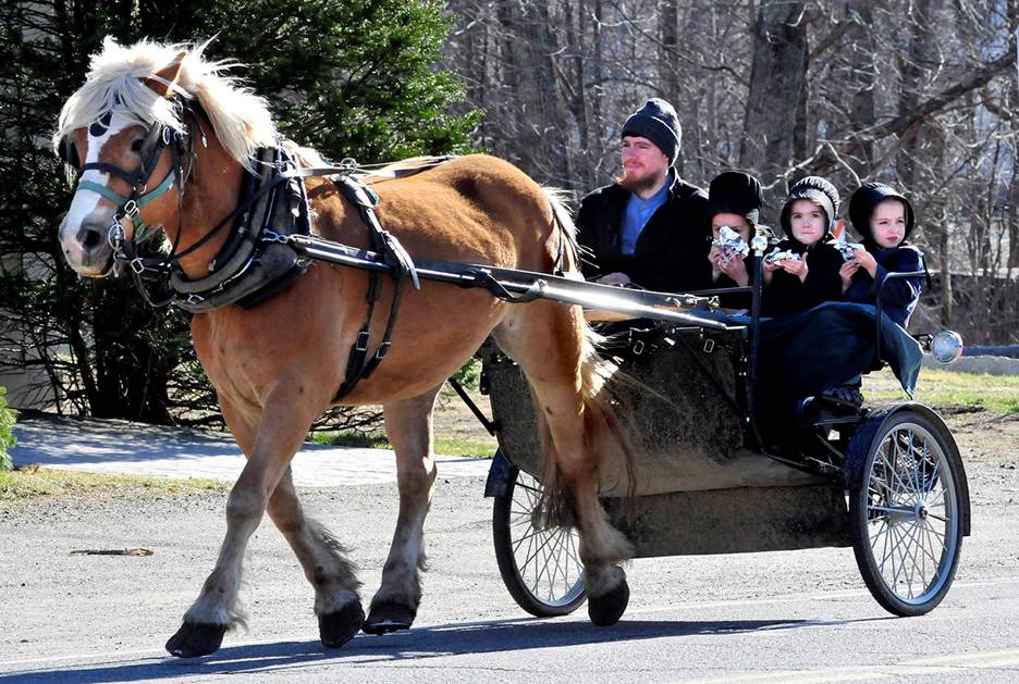 Mills signs bill aimed at preventing collisions with Amish country buggies  - Portland Press Herald