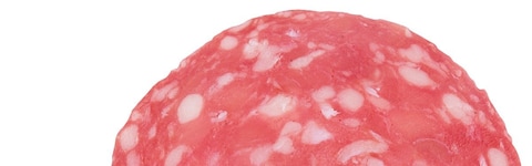 A close up of a salami  Description automatically generated with medium confidence