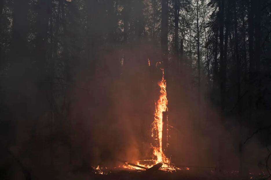 Flames from a prescribed burn, started by wildland firefighters in an attempt to halt the spread of larger wildfires, in Shining Bank, Alberta, Canada on May 19, 2023. (Jen Osborne/The New York Times)