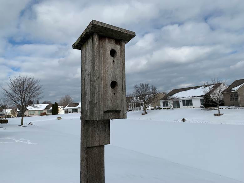 A birdhouse in a snowy field  Description automatically generated