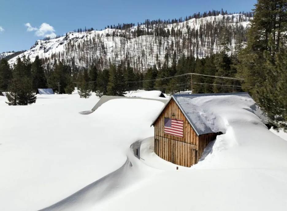 <span>Photograph: Fred Greaves/Reuters</span>