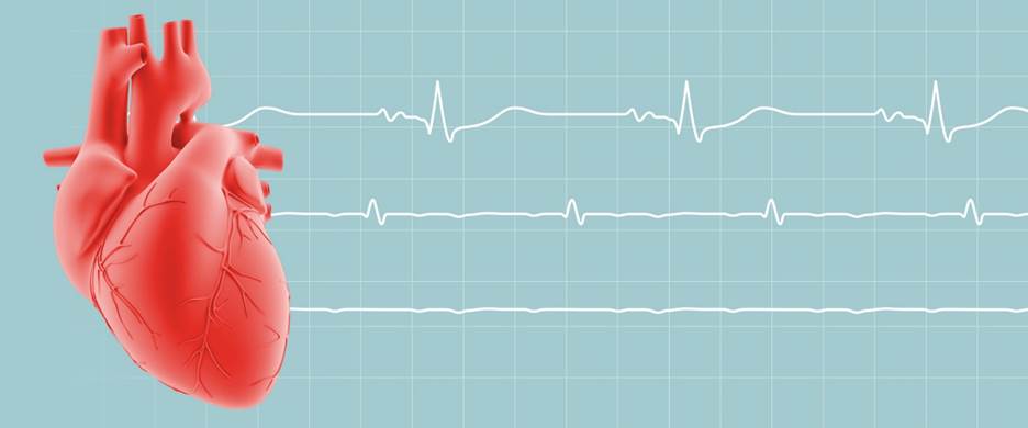 Heart Failure: Symptoms, Treatments, and How to Reduce Your Risk