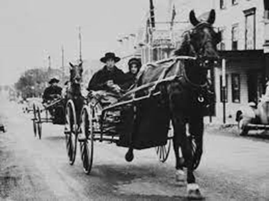 A horse pulling a carriage Description automatically generated with low confidence