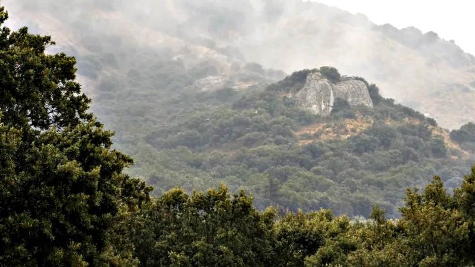 We see forested mountains in the mist.