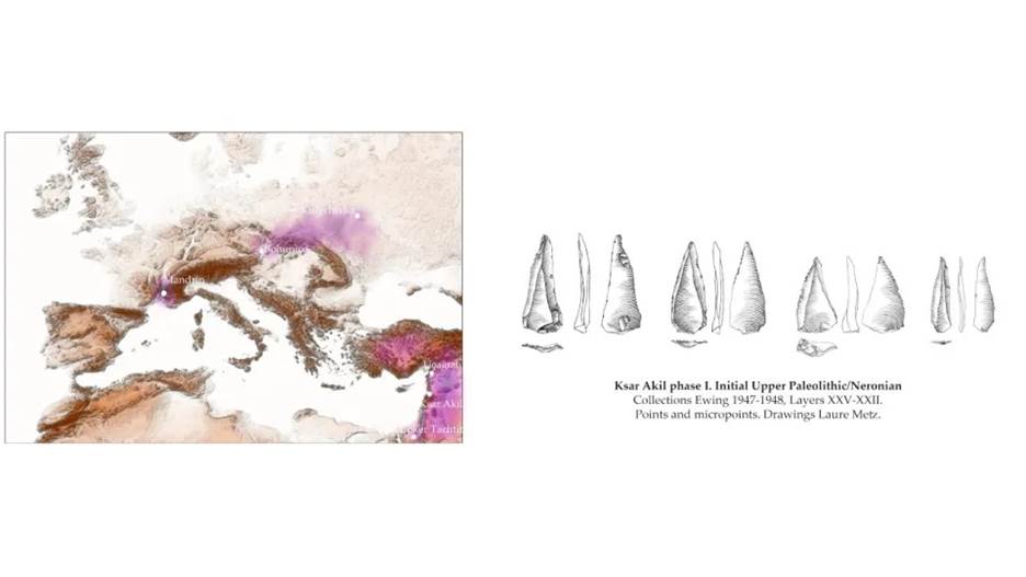 These maps show evidence for three distinct waves of early migration of Homo sapiens in Europe from the East Mediterranean coast. In phase 1, the Neronians created tools about 54,000 years ago.