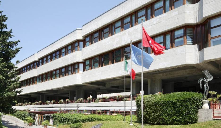 ICTP on X: Watch ICTP's @SandroScandolo talking about ICTP in the first episode of Magazzino 26, a programme by @RaiCultura focussing on Trieste and its science institutions, on the occasion of #ESOF2020.
