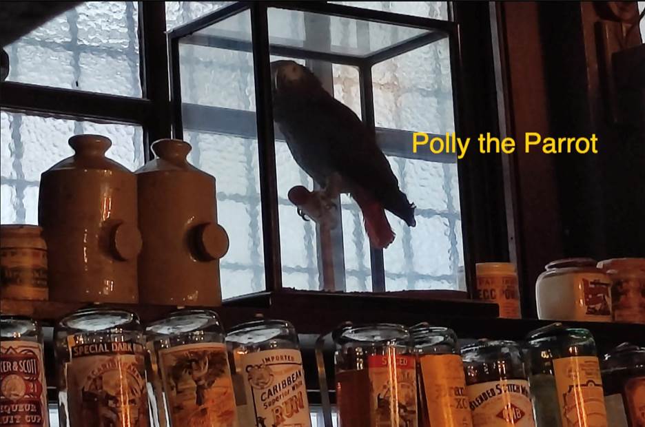 A bird in a cage Description automatically generated