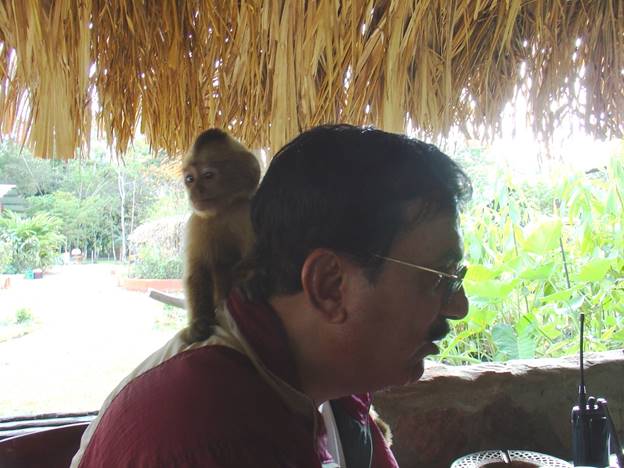 A person sitting on his shoulder with a monkey on his back Description automatically generated