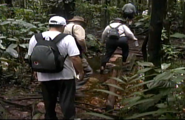 A group of people hiking in the jungle Description automatically generated