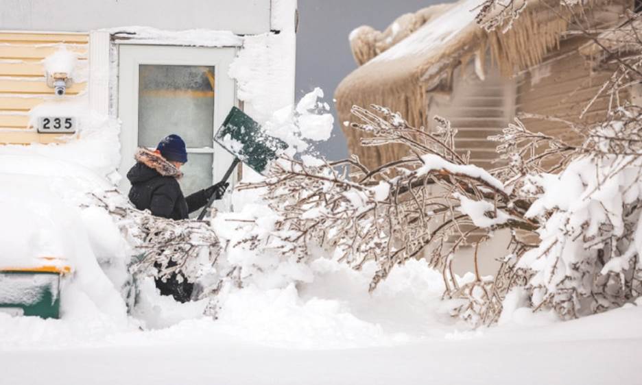 A woman shovels snow beside a house and downed tree, coated in ice, formed by the spray of Lake Erie during a winter storm in Hamburg.—Reuters