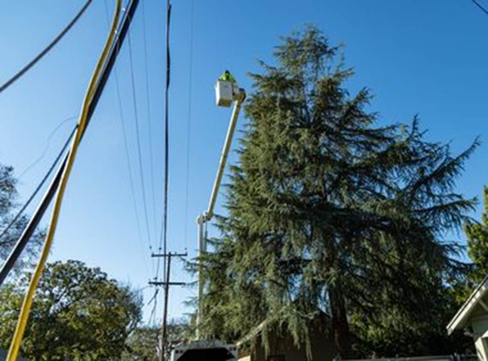 Protecting Communities Before Dangerous Winds Begin | Energized by Edison