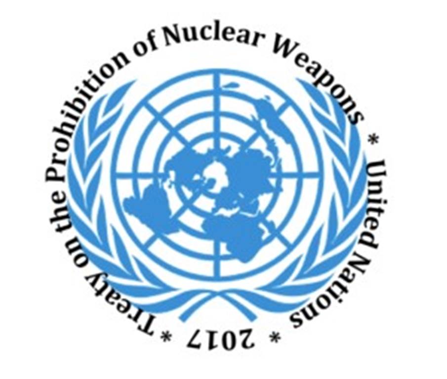 A logo of the united nations  Description automatically generated
