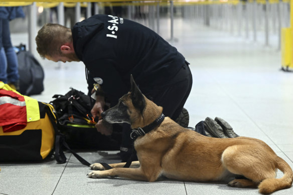 Hope, a rescue dog, waits to depart from Bonn Airport, in Cologne, Germany, to join the effort in Turkey. 