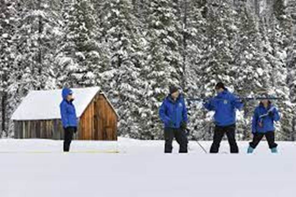 A group of people skiing  Description automatically generated with low confidence