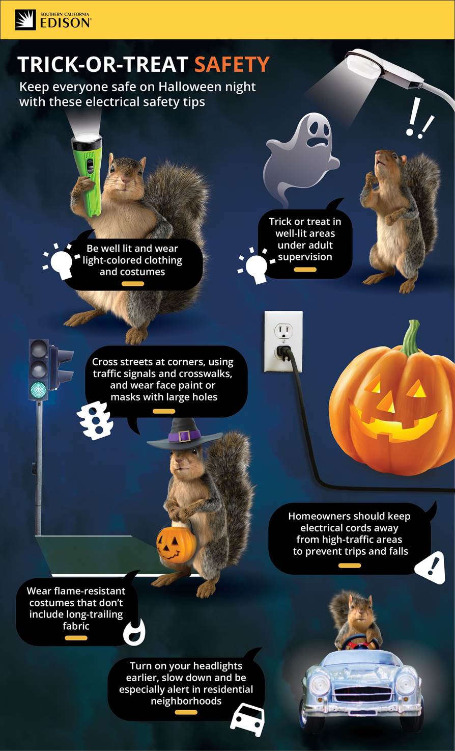 A poster of a squirrel  Description automatically generated