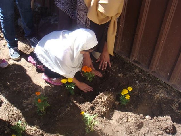 A person planting flowers in the dirt  Description automatically generated