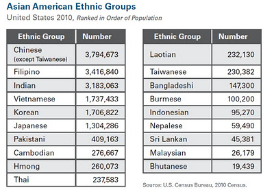 Description: http://1.bp.blogspot.com/-ma96T9Oo3Wk/Tuq1ZtsOVgI/AAAAAAAACNI/ktMejMO8iio/s400/Pakistani-American%2BPop.jpg