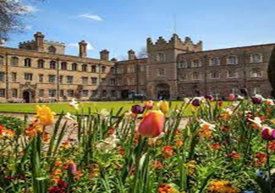 A field of flowers in front of a large building  Description automatically generated with medium confidence