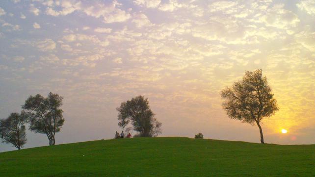 A grassy field with trees and the sun in the background Description automatically generated with low confidence