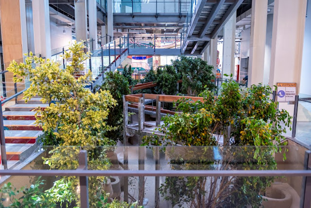 A view from the inside of a building Description automatically generated