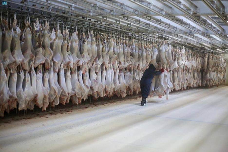 A picture containing slaughterhouse, indoor Description automatically generated