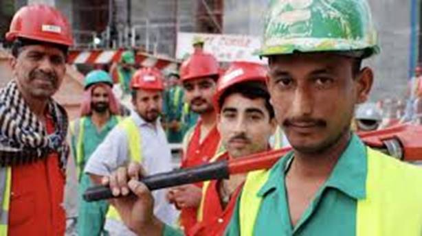 Report Reveals Intentional Mistreatment ...